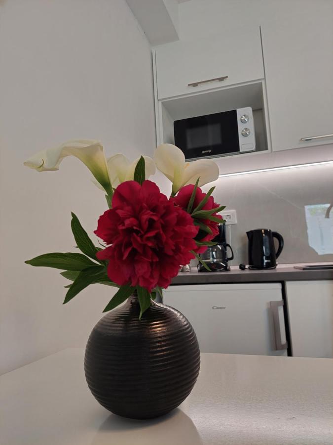 Apartment Mara Dubrownik Zewnętrze zdjęcie